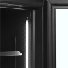 Black Positive Refrigerated Display Case - 2 Glass Doors - 524 L TEFCOLD: Elegance and Performance for Professionals