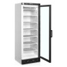 Static freezer display glass door - White - 270 L | TEFCOLD UFSC371G