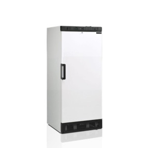 Positive Storage Cabinet - White - TEFCOLD - 260 L: Optimal storage for kitchen professionals