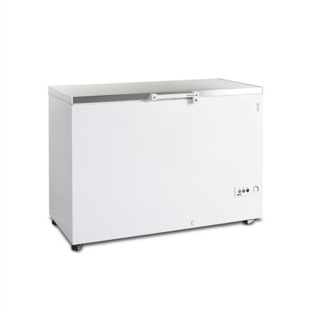 Stainless Steel Ice Chest Freezer - 377L | Brand TEFCOLD