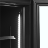 Armoire Réfrigérée Noire TEFCOLD - Canopée & 2 Portes Vitrées