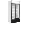 Armoire Réfrigérée 2 Portes Vitrées Blanc TEFCOLD 462 L - Performances Élevées