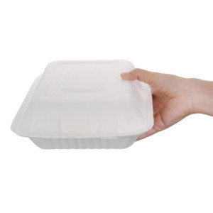 3-Fächer-Bagasse-Kompostierbare Schachteln 201mm - Packung mit 200