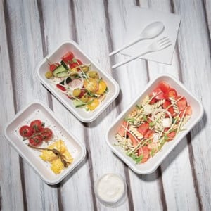 Barquettes compostables en bagasse 680 ml - Lot de 50, qualité supérieure