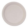 Compostable oval plates made of bagasse 198 mm - Pack of 50, professional quality