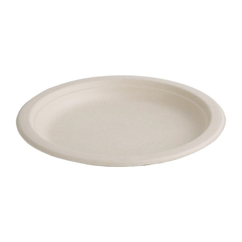 Assiettes Ovales Compostables en Bagasse 316mm - Lot de 50, Livraison Rapide, Haute Qualité