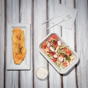 Rectangular Compostable Bagasse Plates 258mm