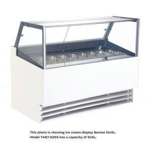 Phuket Ice Cream Display Case - Combisteel - Quality and Performance