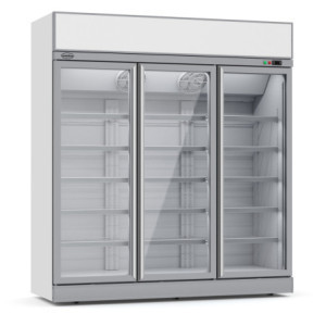 Stainless Steel Negative Refrigerated Display Case - 3 Glass Doors - 1480 L CombiSteel - Frozen Foods & Ice Creams optimal.