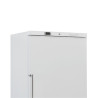 Freezer Cabinet 510 L Ventilated -18/-22°C White