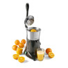 Electric Citrus Juicer