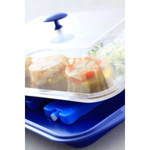 Rectangular Insulated Tray - Hendi