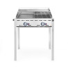 Professional Green Fire Gas Barbecue with 2 burners - Brand HENDI