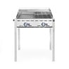 Professioneller Gasgrill Green Fire mit 2 Brennern - Marke HENDI