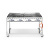 Professional Gas BBQ on Wheels - Brand HENDI