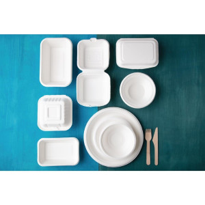 Teller aus kompostierbarem Bagasse 26 cm - Packung mit 50 Stück - Fiesta Green - Fourniresto