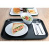 Platte Selbstbedienung Anthrazit Olympia 340 x 450 mm - Robust und elegant