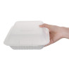 Kompostierbare Bagasse-Boxen 223mm - Packung mit 200, umweltfreundlich