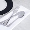 Stylish set of 12 AMEFA table knives in 18/10 stainless steel, dishwasher safe