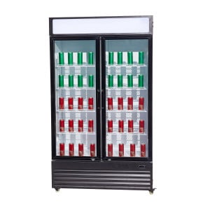 Vitrine Réfrigérée à Boissons 2 Portes Vitrées - 750 L