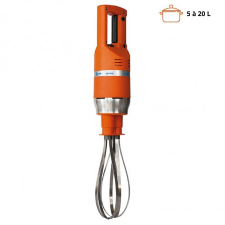 Master FT 91 Immersion Blender Whisk - FourniResto.com