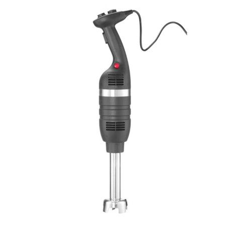 Mixeur Plongeur Pied Mélangeur de 250 mm - HENDI