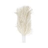 Polisseur à Verres - 4 Brosses - HENDI