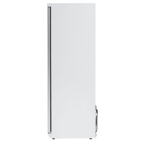 Gefrierschrank 400 L mit Glastür Umluftkühlung -18/-22°C