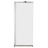 Gefrierschrank 590 L Umluftkühlung -18/-22°C
