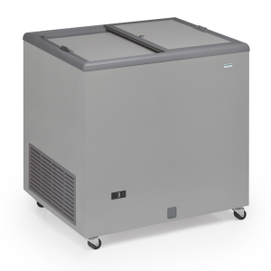 Professional Stainless Steel Chest Freezer with Opaque Lid - 300 L