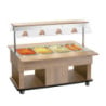 Chariot Hot Buffet Child - 4 x GN 1/1