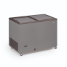 Congélateur Coffre Professionnel Inox et Couvercle Opaque - 300 L
