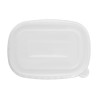 PET lids for Rectangular Trays - Pack of 300 - Fiesta