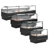 Premium-Service-Vitrine für frischen Fisch - 480 W