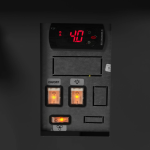 Premium-Service-Vitrine für frischen Fisch - 690 W