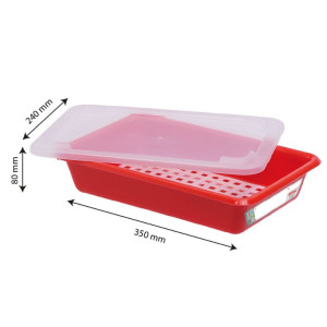 Bac Flat 3L Haccp Red + Lid + Grid - Gilac