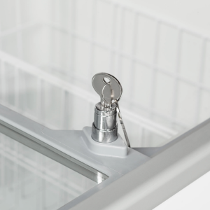 Statische Eistheke - 9 x 5 L