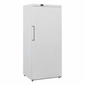 Armoire de Congélation Blanche Ventilée - 600 L - Reconditionnée