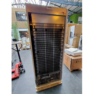 555 Liters Cabinet - Negative