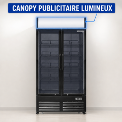 Vitrine à Boissons 736 L 2 Portes Vitrées 2-8 °C R290