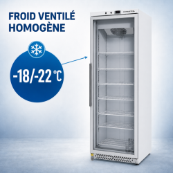 Armoire Congélation 400 L Vitrée Froid Ventilé -18/-22°C