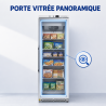 Armoire Congélation 400 L Vitrée Froid Ventilé -18/-22°C