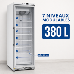 Armoire Congélation 400 L Vitrée Froid Ventilé -18/-22°C