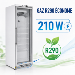 Armoire Congélation 400 L Vitrée Froid Ventilé -18/-22°C