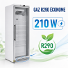 Armoire Congélation 400 L Vitrée Froid Ventilé -18/-22°C