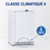 Mini Negative Refrigerated Cabinet 170 L -18°C White