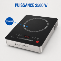 Plaque à Induction Pro 2500 W — 80-240°C, Digitale
