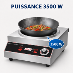 Wok à Induction Pro 3500 W Inox — Zone Concave Ø227