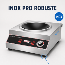 Induktionswok Pro 3500 W Edelstahl — Konkave Zone Ø227