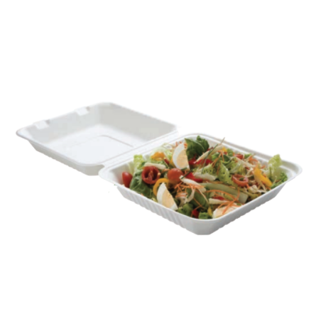 Mittagessenbox Bagasse 1 Fach - Packung mit 50